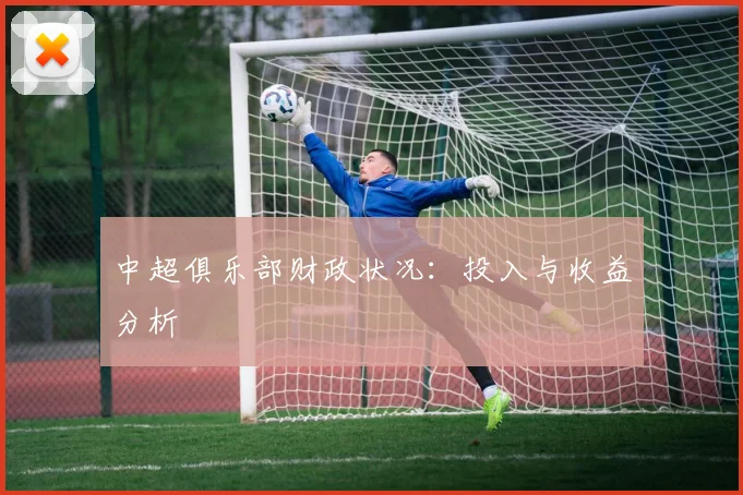 中超俱乐部财政状况：投入与收益分析